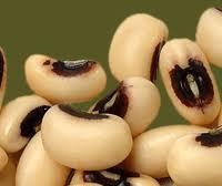 Feira do Feijão Frade (Lardosa)