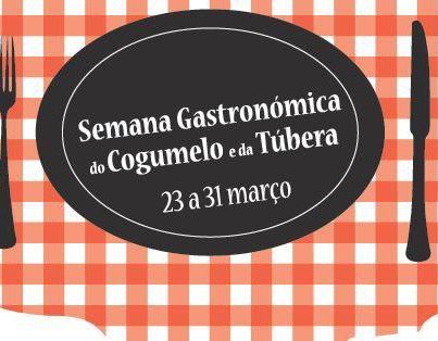 Semana do Cogumelo …”alentejano”