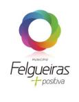 felgueiras mun