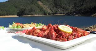 …à pesca do “melhor (de Ferreira) do Zêzere”