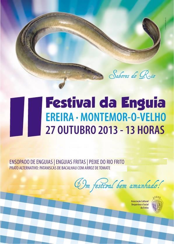 1379837_Enguia MontemorVwelho