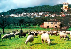 Fornos de Algodres - Vista Parcial