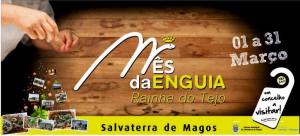 Salvaterra de Magos 33