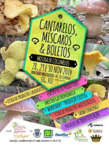 10365870_733715623379634_8638265725888748713_n