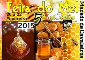 V-Apiocasiao-Feira-do-Mel