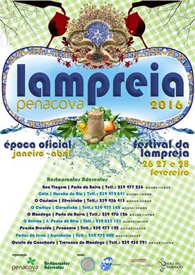 lampreia Penacova 16_n