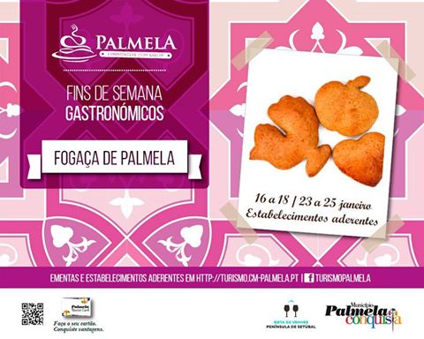 Palmela2016_n