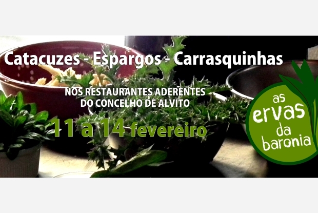 2016-Ervasbaronia_