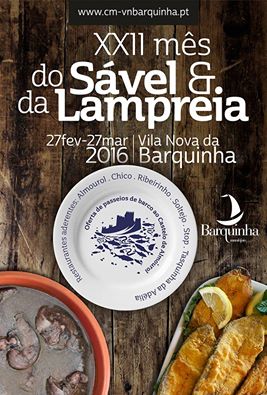 BARQUINHASavel16_n