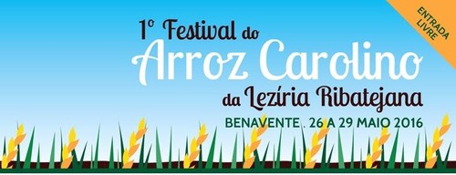 Arroz… na economia e à mesa de Benavente