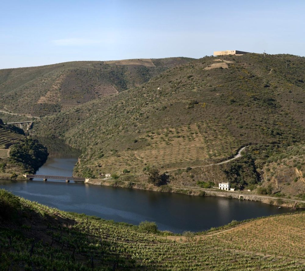 a Foz dos melhores Vinhos Douro…é Côa