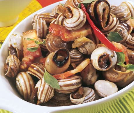 De casa às costas, a passo de Caracol até Loures