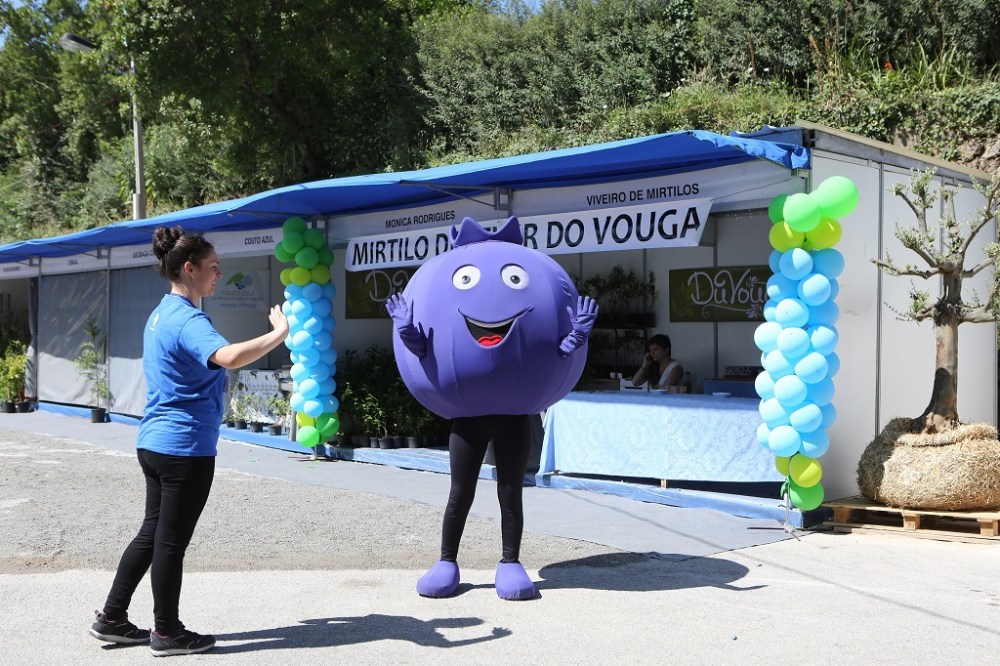 Capital do Mirtilo é de “Sever” e provar