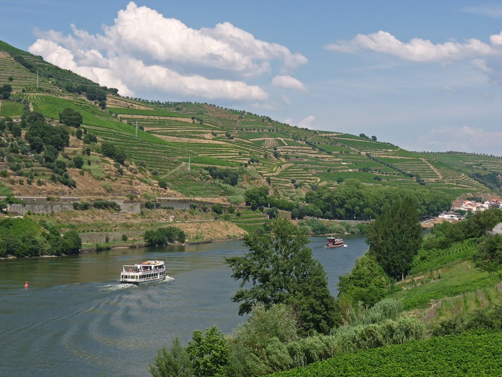 “jóia” do Douro mostra-se em Lamego