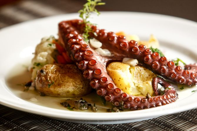 é dia de polvo …na Lourinhã