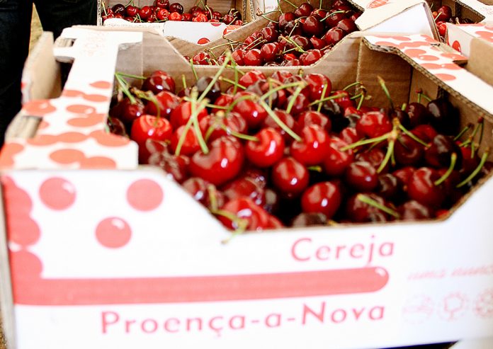 Festas de Proença…com sabor a Cereja!