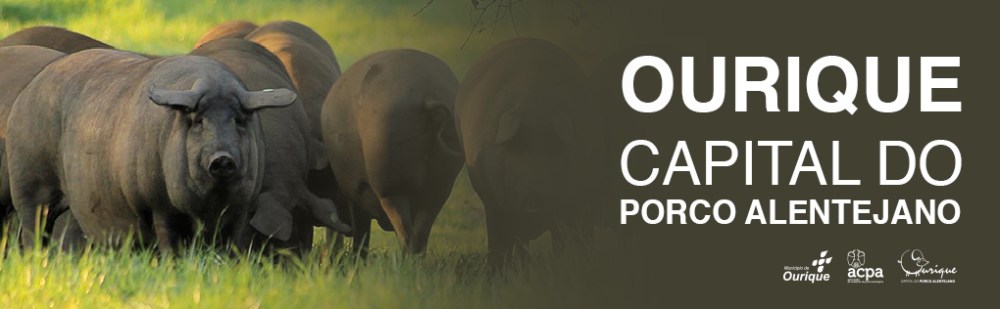 Ourique promove o Porco alentejano…