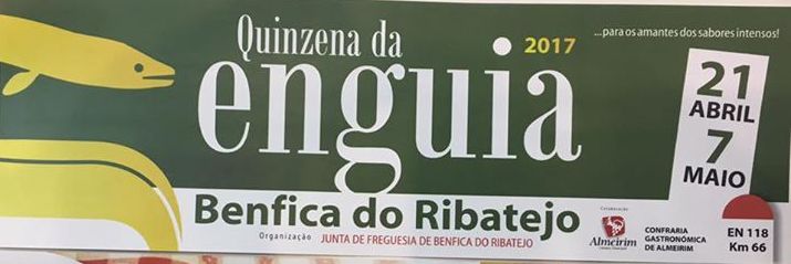 EnguiaBENFICA17_n