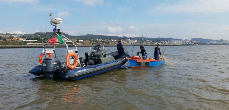 pesca-lampreia-e-savel1