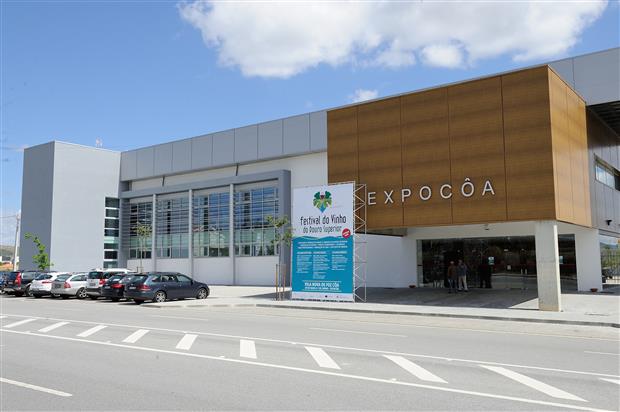 Das Gravuras aos Vinhos de Foz Côa