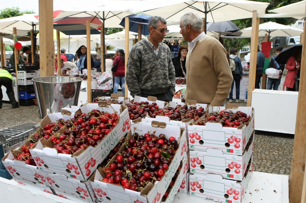 Cereja por tema em cortejo alegórico