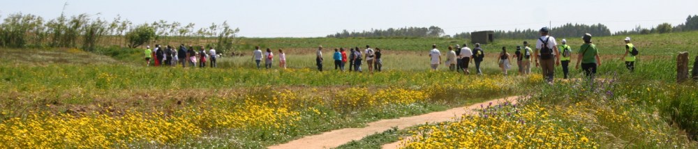 “Sabores das Invasões Francesas” na Lourinhã