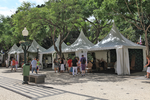 Desfrute da “Madeira wine fest”