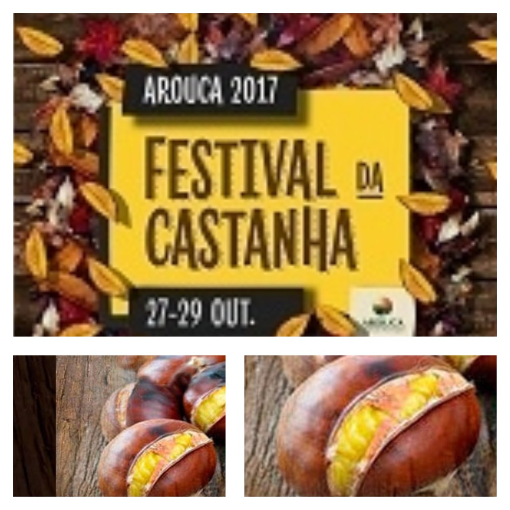 CastanhaArouca17