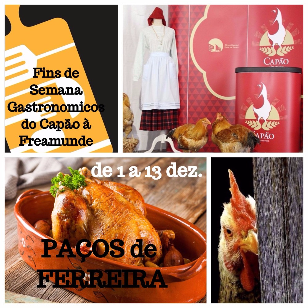 CapãoFreamunde17 (1)