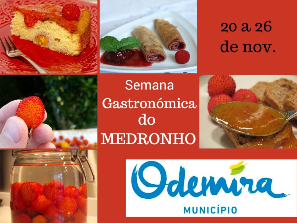 GastroMedronho17