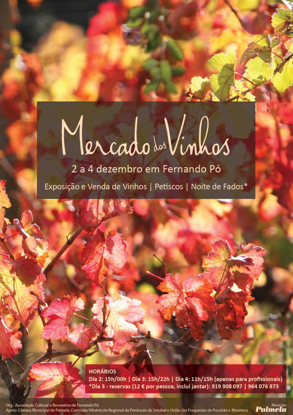 mercado-dos-vinhos_FPO17