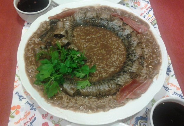 ‘Ponte’ para a melhor Lampreia regional