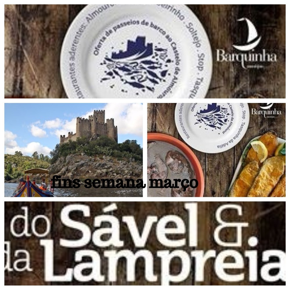 BarquinhaSavel18