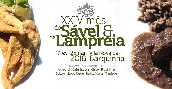 na Barquinha com o Sável e Lampreia