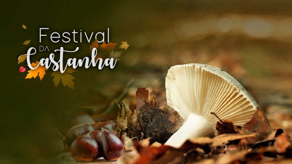 Arouca da Castanha, do mel e cogumelos
