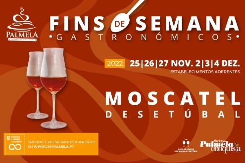 Experiências com sabor a Moscatel Setúbal