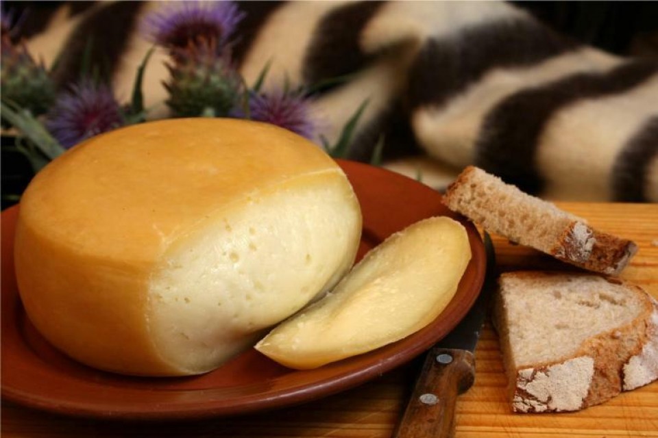 Visite Serpa do Queijo Alentejano