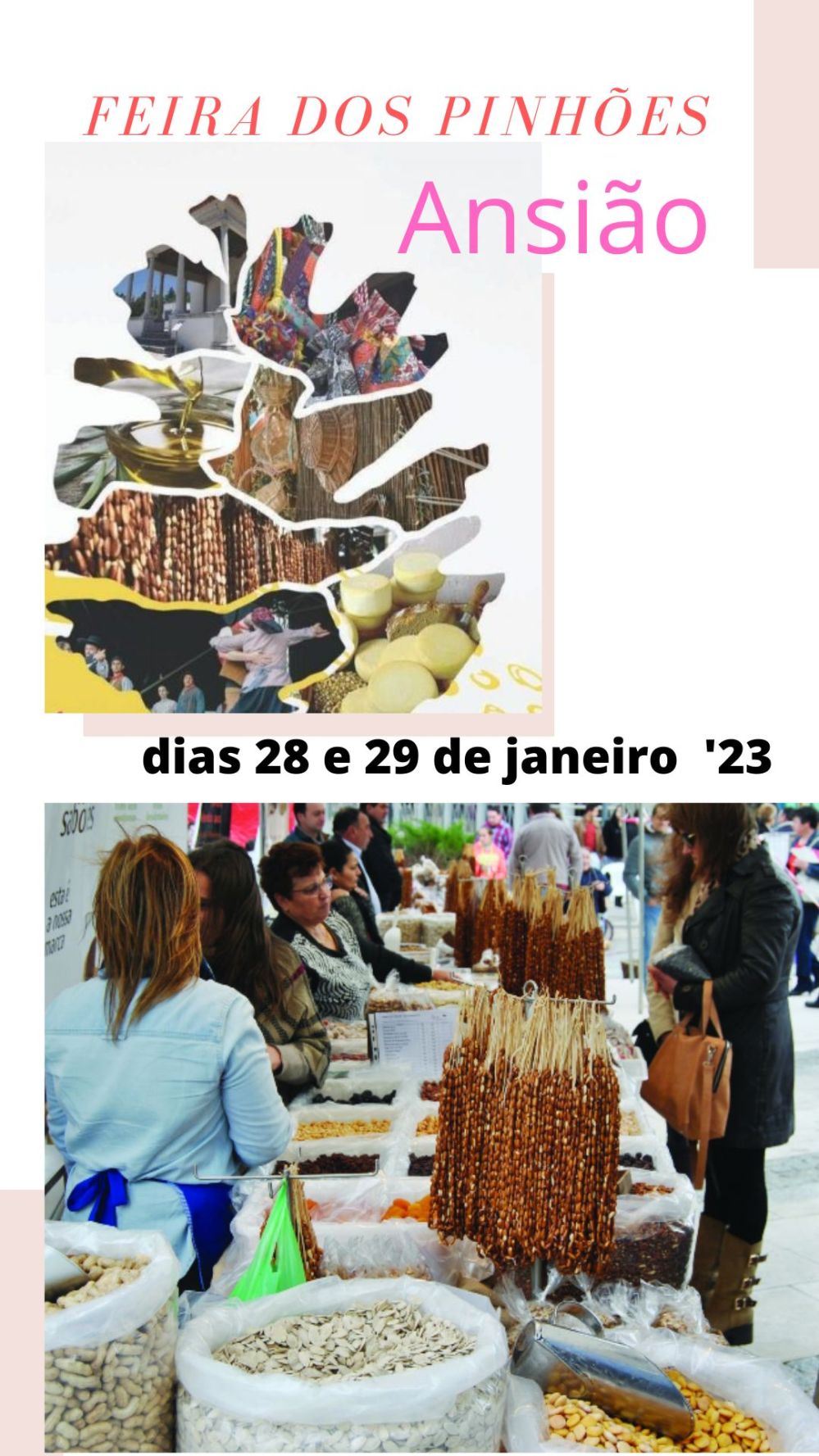 Pinhões e ‘produtos Sicó’ vão à Feira d’Ansião