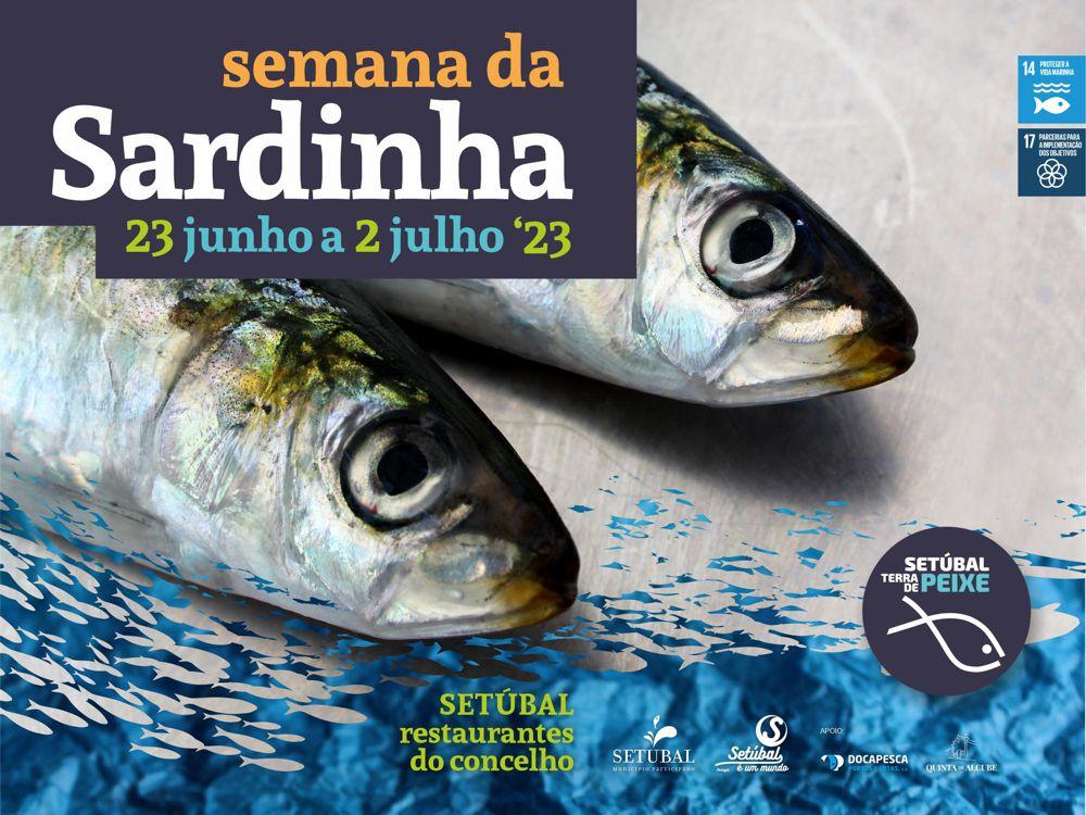 ‘Sarrdinha’ da boa em Setúbal