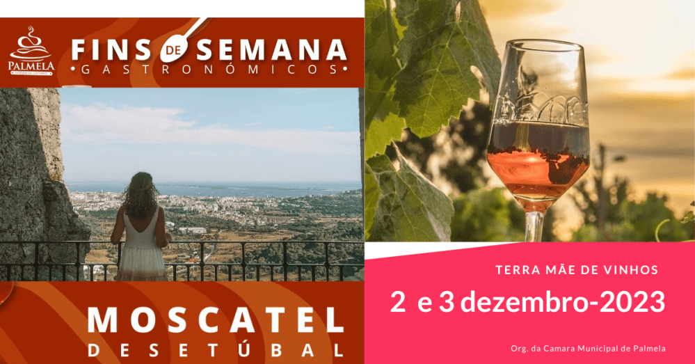 Palmela dos vinhos e do Moscatel (com)prova-se !